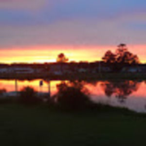 Meet your Posher, Carole